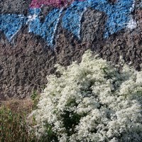 Photo de France - La randonnée de la Tamarissière